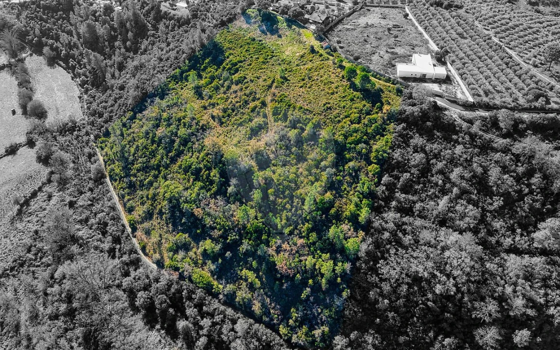 Terreno para Venda em Azoia de Cima e Tremês Foto 13