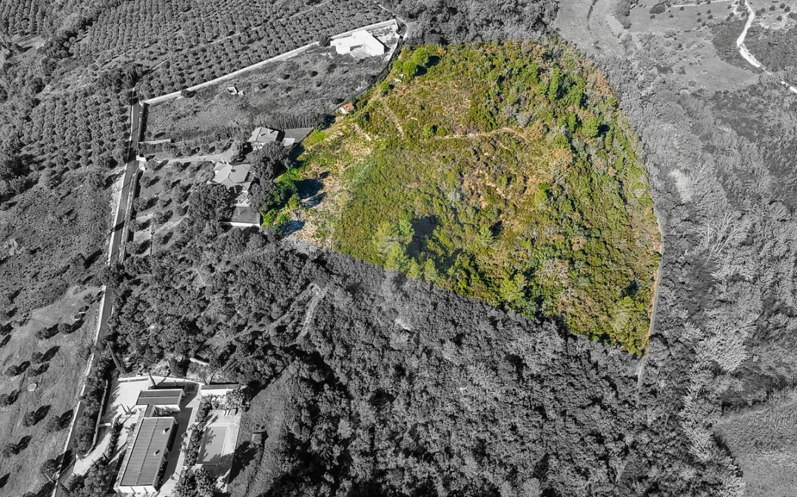 Terreno para Venda em Azoia de Cima e Tremês Foto 3