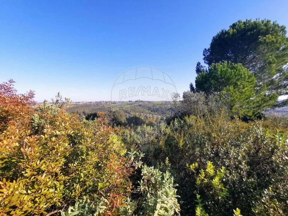 Terreno para Venda em Azoia de Cima e Tremês Foto 24