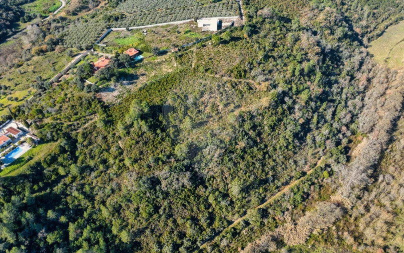 Terreno para Venda em Azoia de Cima e Tremês Foto 17