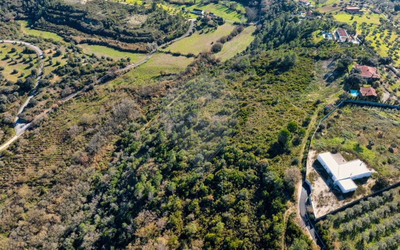 Terreno para Venda em Azoia de Cima e Tremês Foto 9