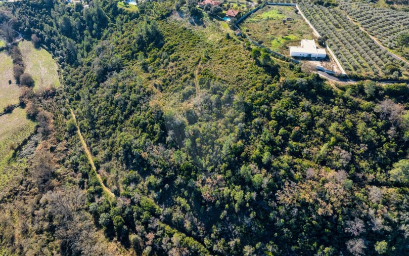 Terreno para Venda em Azoia de Cima e Tremês Foto 14