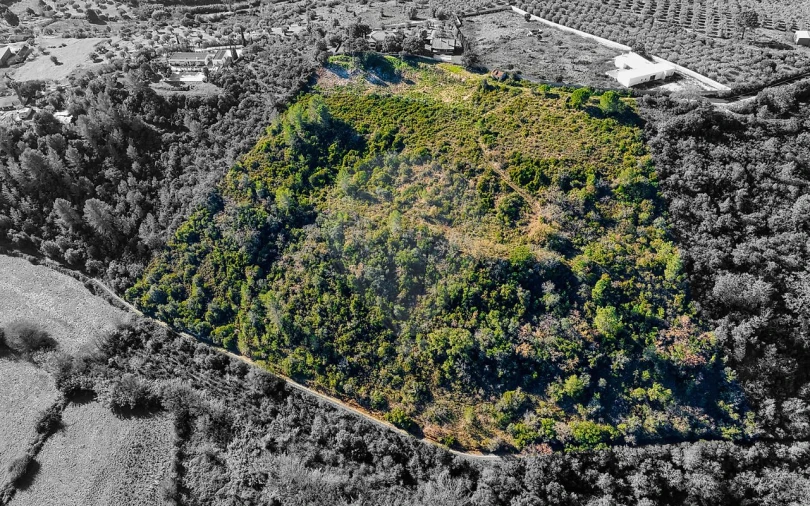 Terreno para Venda em Azoia de Cima e Tremês Foto 15