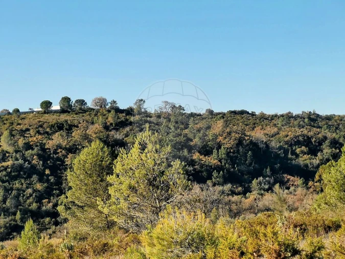 Terreno para Venda em Azoia de Cima e Tremês Foto 26
