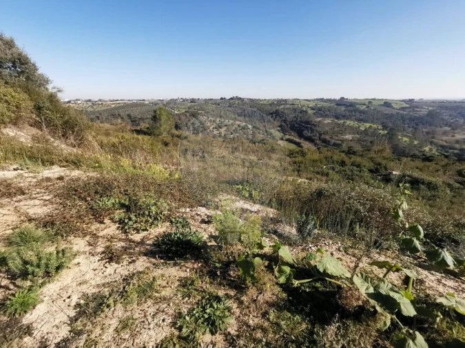 Terreno para Venda em Azoia de Cima e Tremês Foto 18