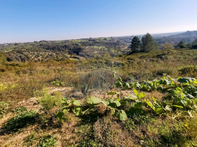 Terreno para Venda em Azoia de Cima e Tremês Foto 19