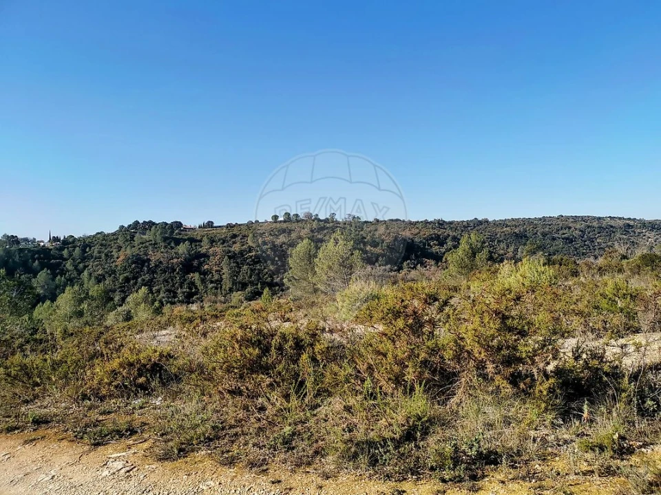 Terreno para Venda em Azoia de Cima e Tremês Foto 25