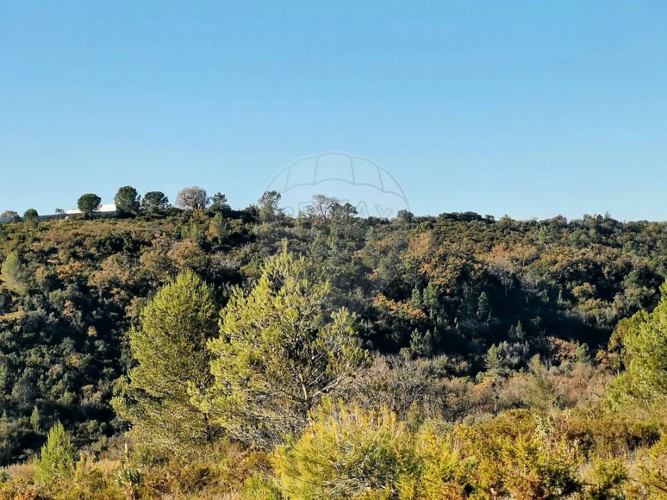 Terreno para Venda em Azoia de Cima e Tremês Foto 26