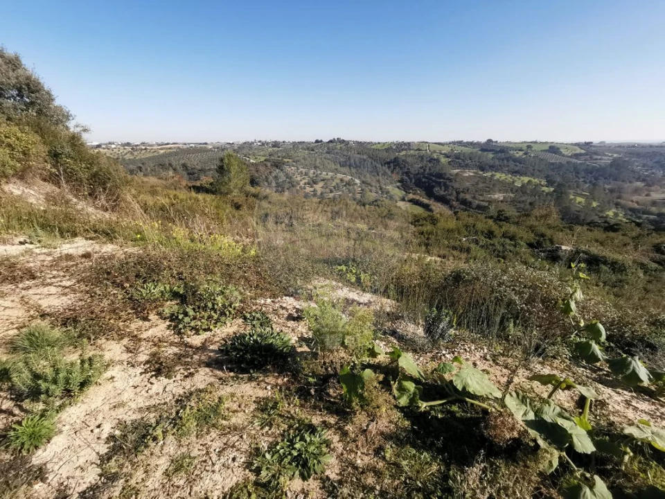 Terreno para Venda em Azoia de Cima e Tremês Foto 18