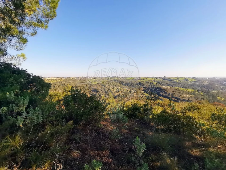 Terreno para Venda em Azoia de Cima e Tremês Foto 23
