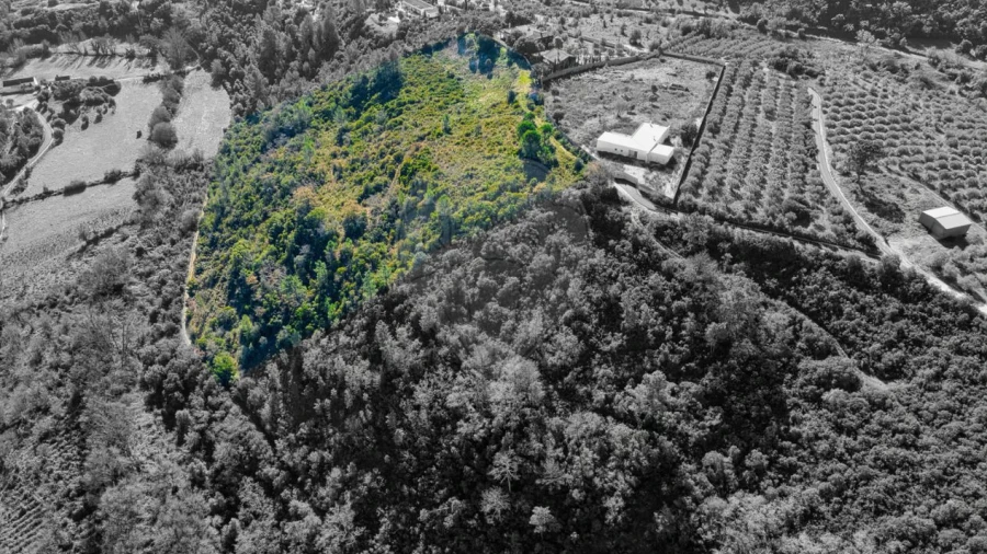 Terreno para Venda em Azoia de Cima e Tremês