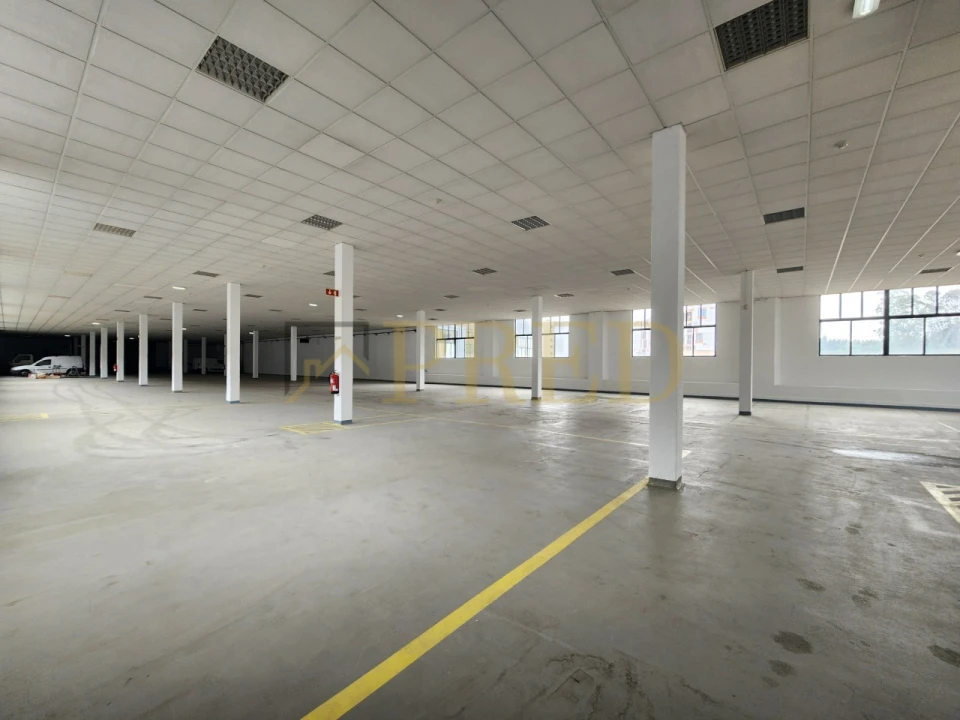 Armazém para Arrendamento em Paranhos Foto 3