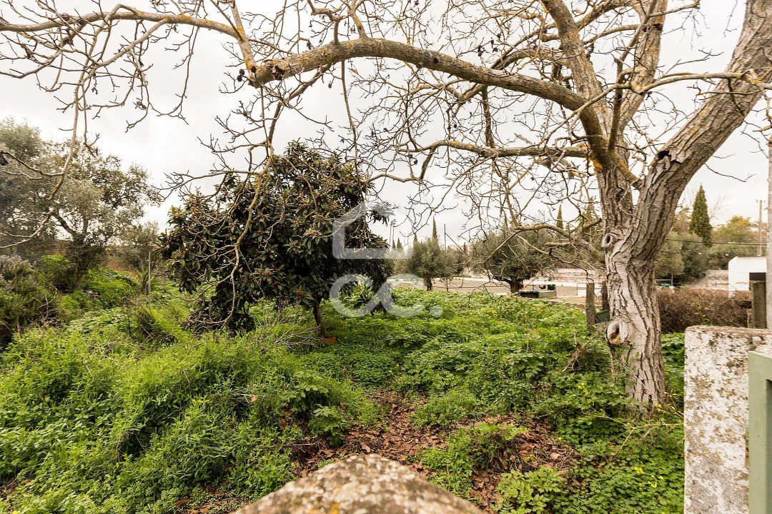 Moradia T7 para Venda em Portel Foto 24