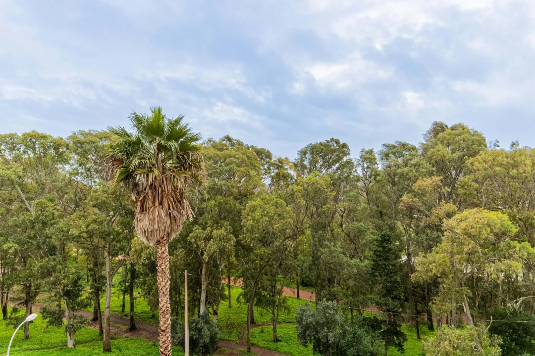 Apartamento T2 para Venda em Algés, Linda-A-Velha e Cruz Quebrada-Dafundo Foto 26