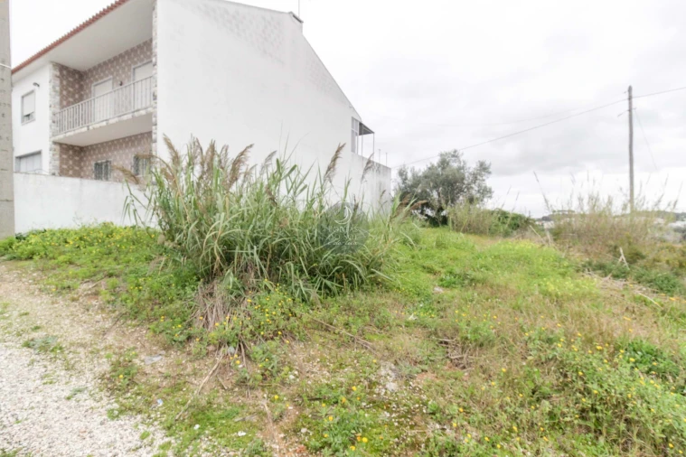 Terreno para Venda em Marvila, Ribeira Santarém, São Salvador, São Nicolau Foto 2