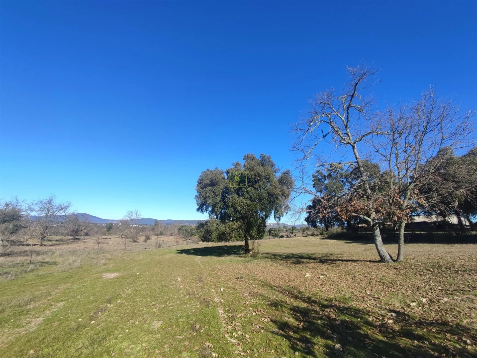 Terreno Agricola ou Rústico para Venda em Penamacor Foto 12