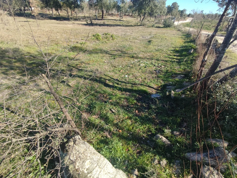 Terreno Agricola ou Rústico para Venda em Penamacor Foto 17