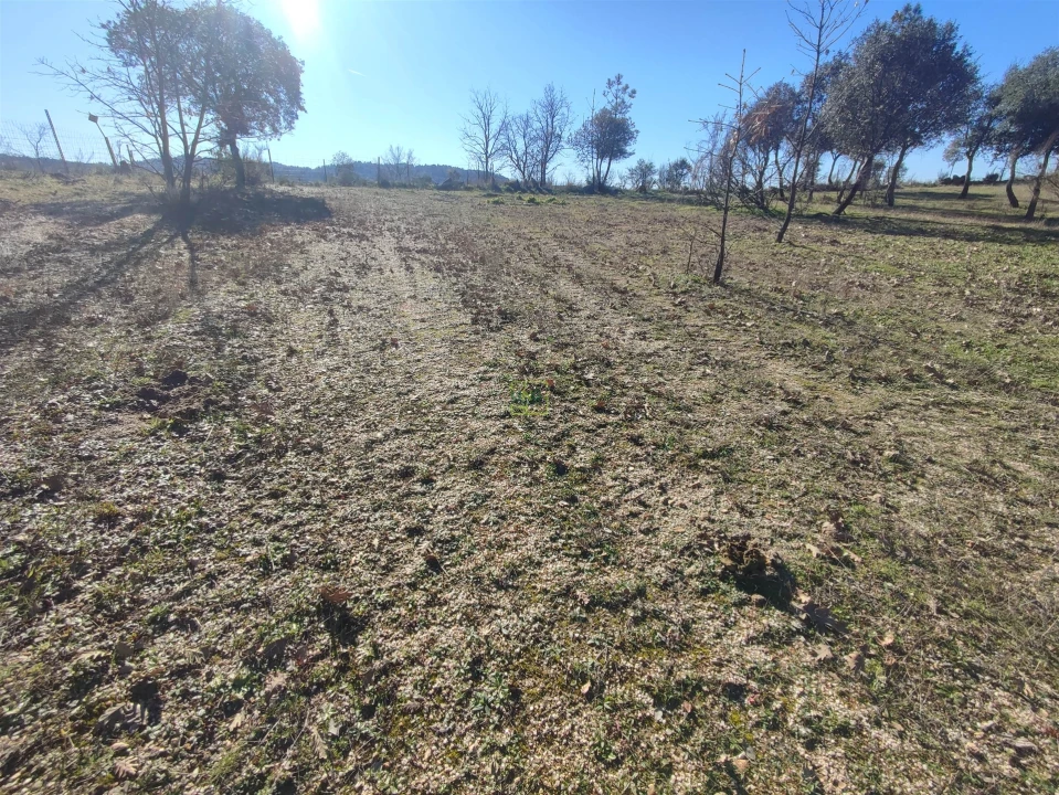 Terreno Agricola ou Rústico para Venda em Penamacor Foto 14