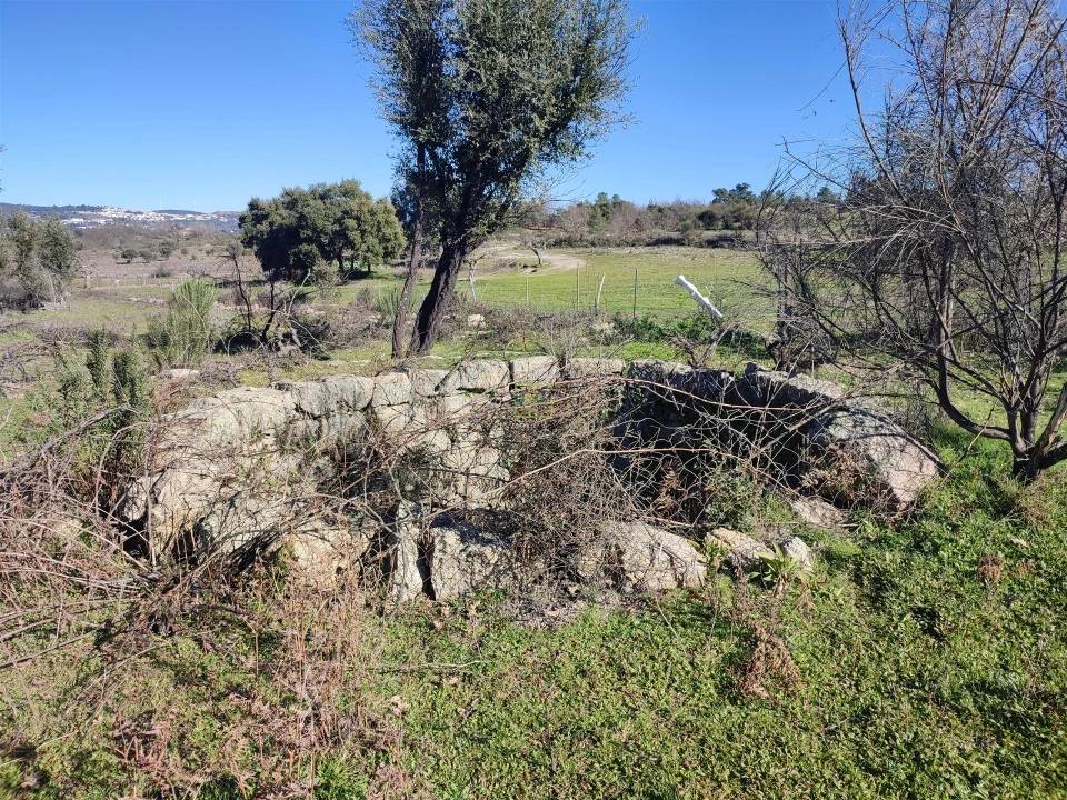 Terreno Agricola ou Rústico para Venda em Penamacor Foto 9