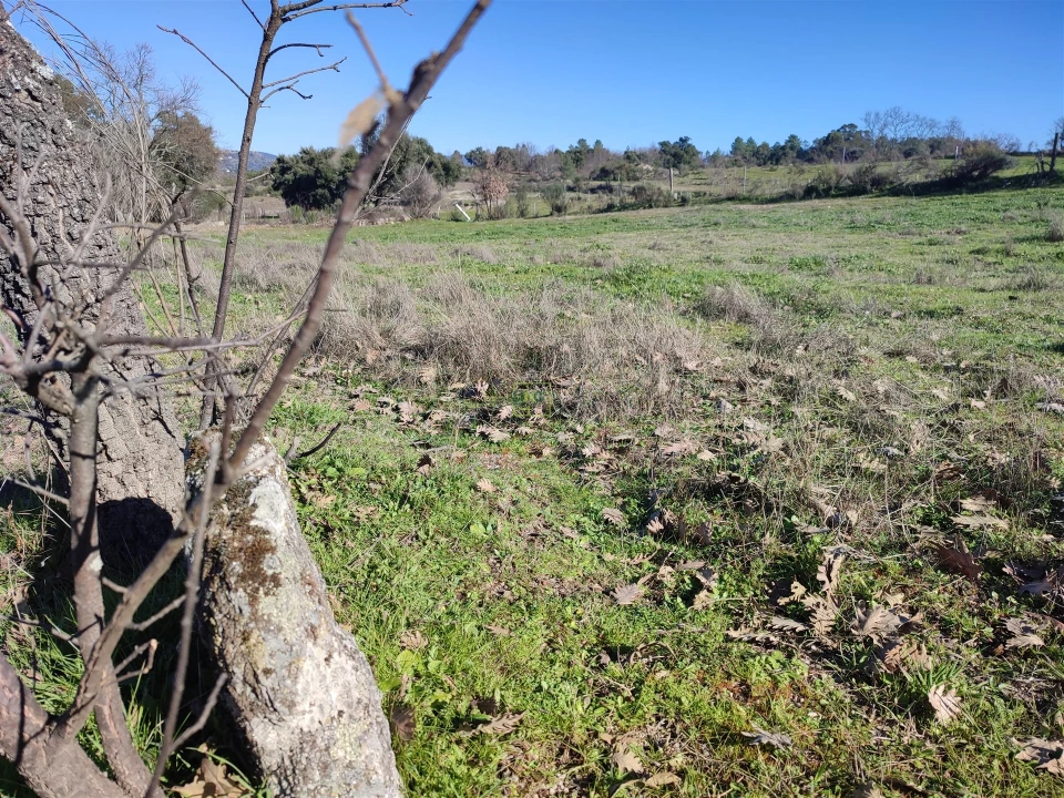 Terreno Agricola ou Rústico para Venda em Penamacor Foto 10