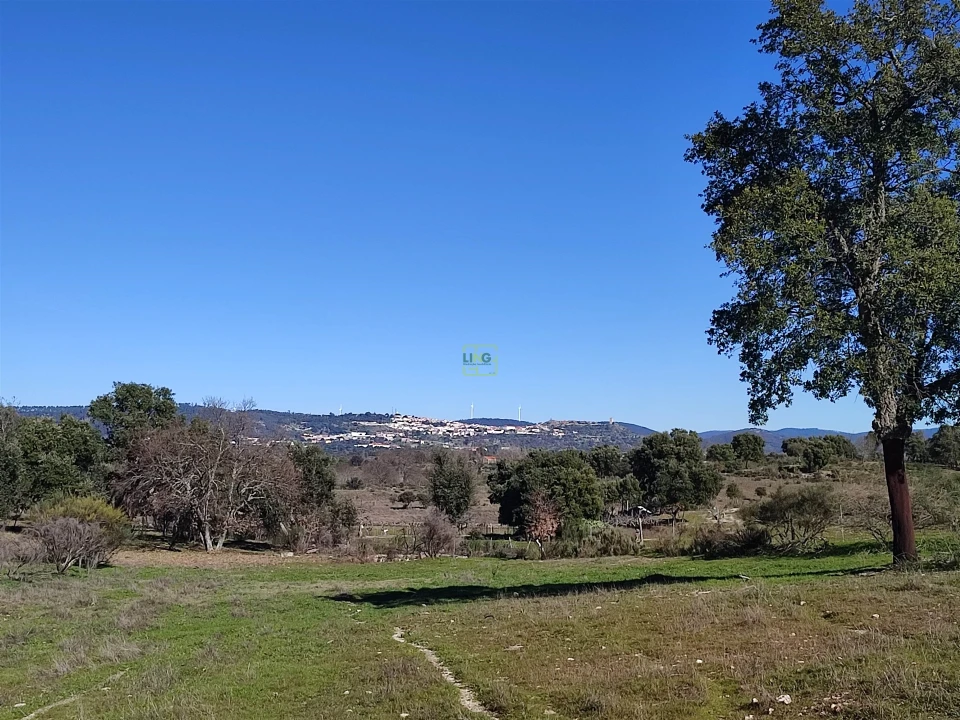 Terreno Agricola ou Rústico para Venda em Penamacor Foto 1