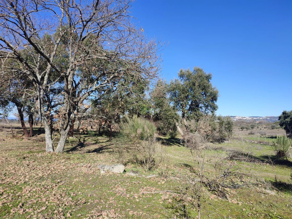Terreno Agricola ou Rústico para Venda em Penamacor Foto 3
