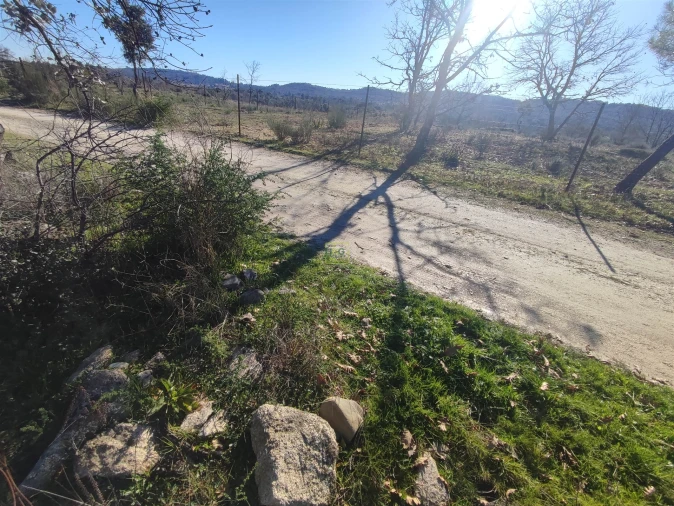 Terreno Agricola ou Rústico para Venda em Penamacor Foto 16