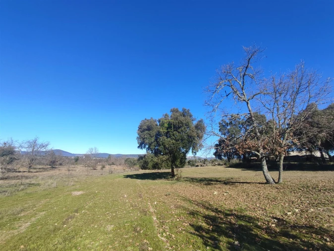 Terreno Agricola ou Rústico para Venda em Penamacor Foto 12