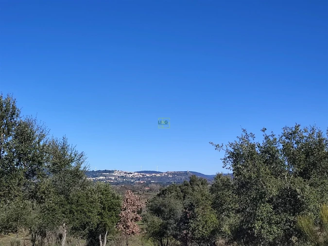 Terreno Agricola ou Rústico para Venda em Penamacor Foto 18