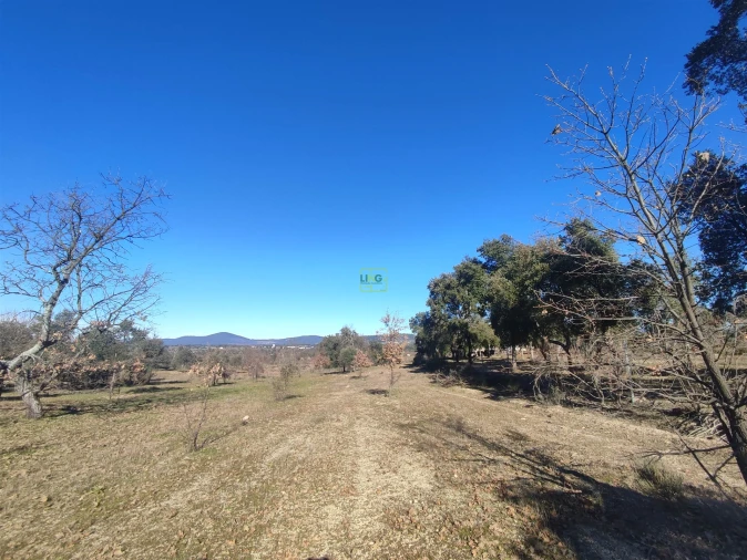 Terreno Agricola ou Rústico para Venda em Penamacor Foto 15