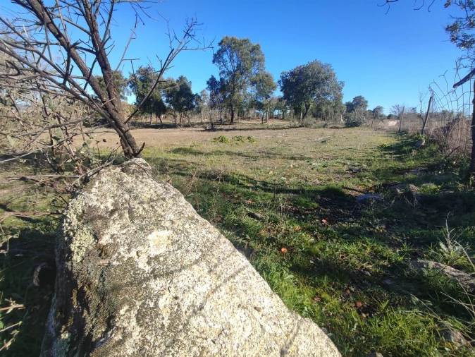 Terreno Agricola ou Rústico para Venda em Penamacor Foto 19