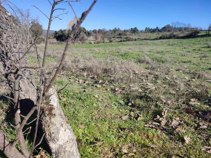 Terreno Agricola ou Rústico para Venda em Penamacor Foto 10