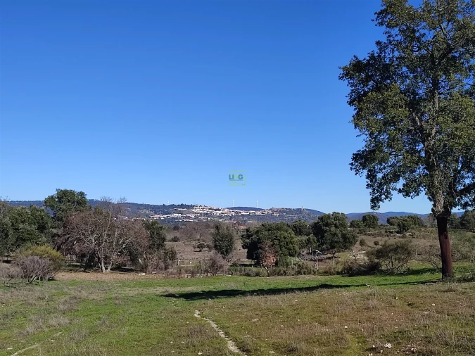 Terreno Agricola ou Rústico para Venda em Penamacor