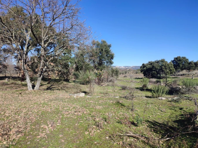 Terreno Agricola ou Rústico para Venda em Penamacor Foto 8