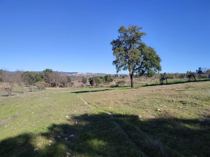 Terreno Agricola ou Rústico para Venda em Penamacor Foto 11