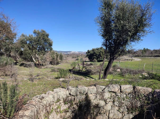 Terreno Agricola ou Rústico para Venda em Penamacor Foto 5