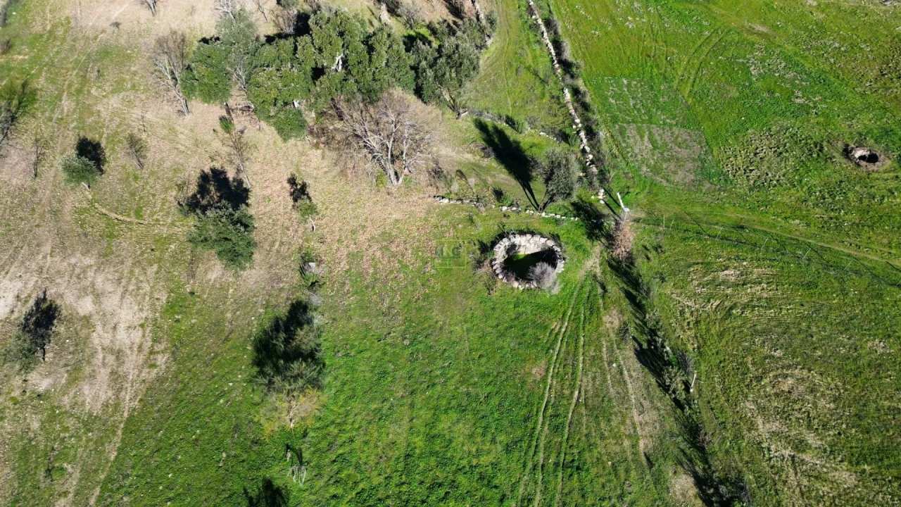 Terreno Agricola ou Rústico para Venda em Penamacor Foto 13