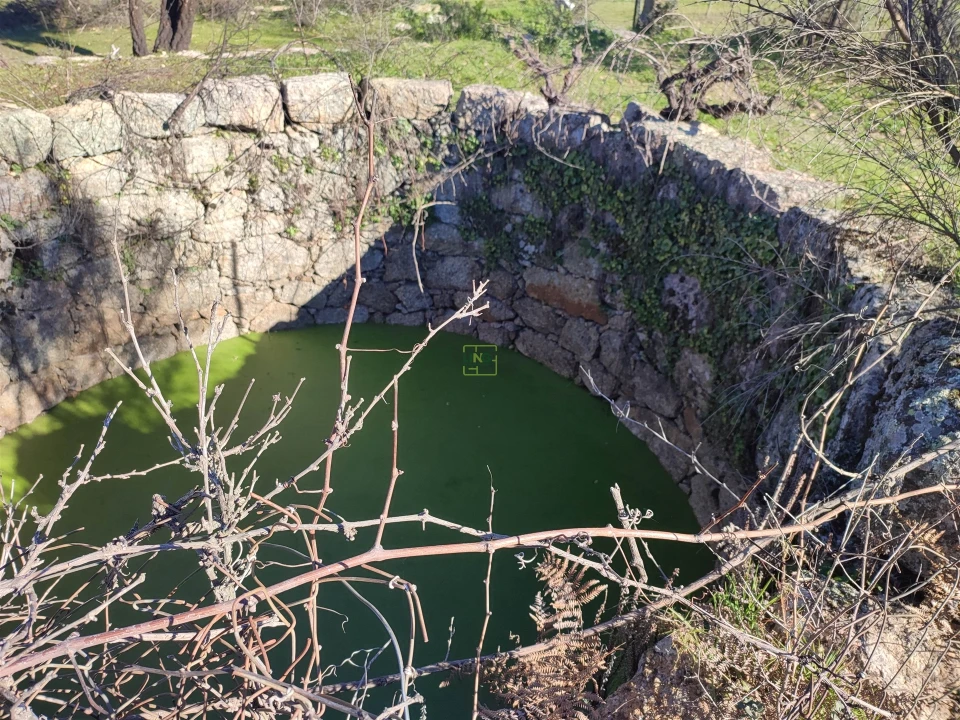Terreno Agricola ou Rústico para Venda em Penamacor Foto 7