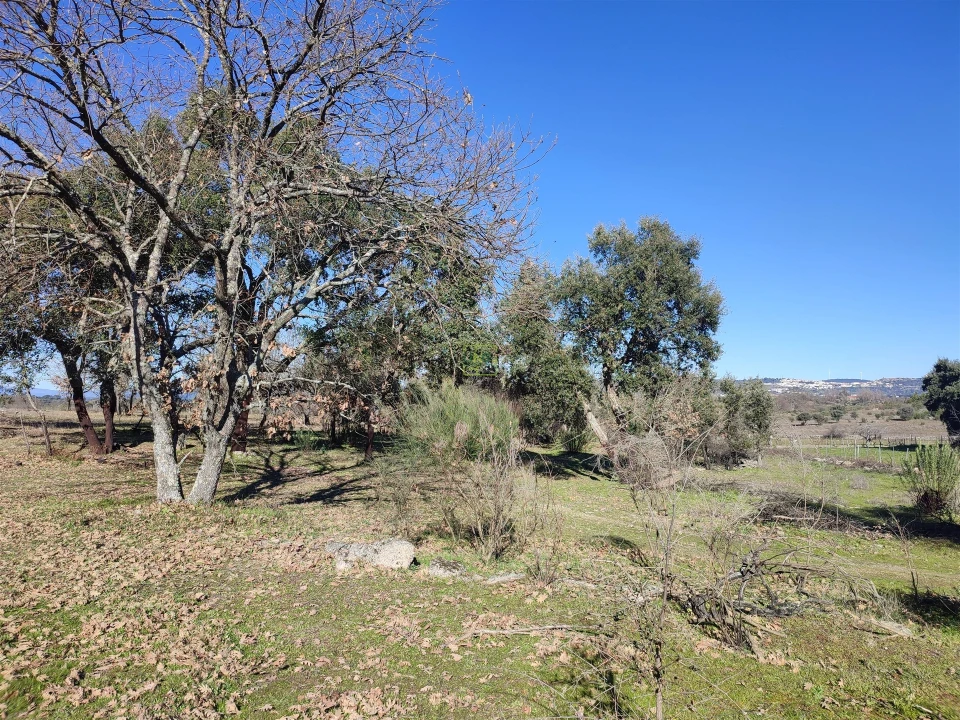 Terreno Agricola ou Rústico para Venda em Penamacor Foto 2