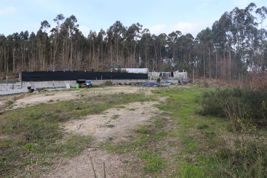 Terreno para Venda em Lustosa e Barrosas (Santo Estêvão) Foto 6