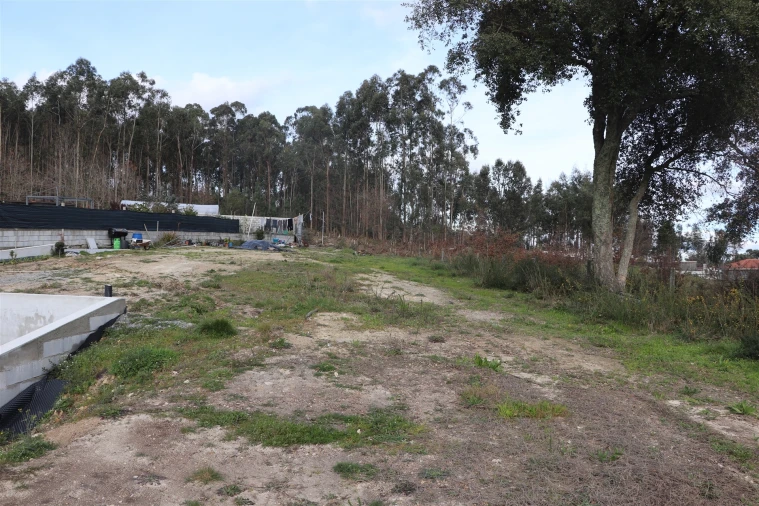 Terreno para Venda em Lustosa e Barrosas (Santo Estêvão) Foto 11