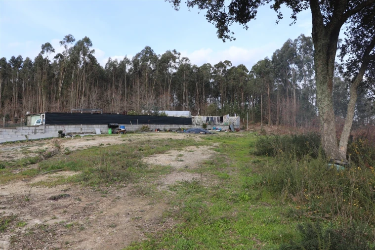 Terreno para Venda em Lustosa e Barrosas (Santo Estêvão) Foto 5