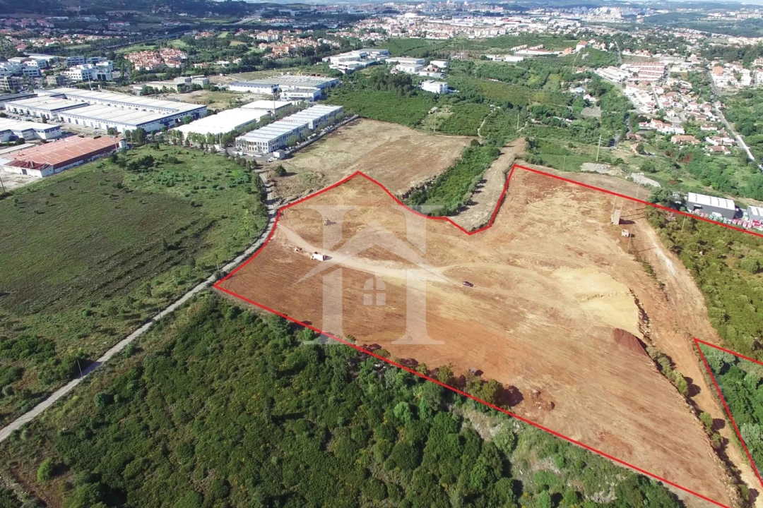Terreno para Venda em Santa Maria e São Miguel, São Martinho, São Pedro Penaferrim Foto 6