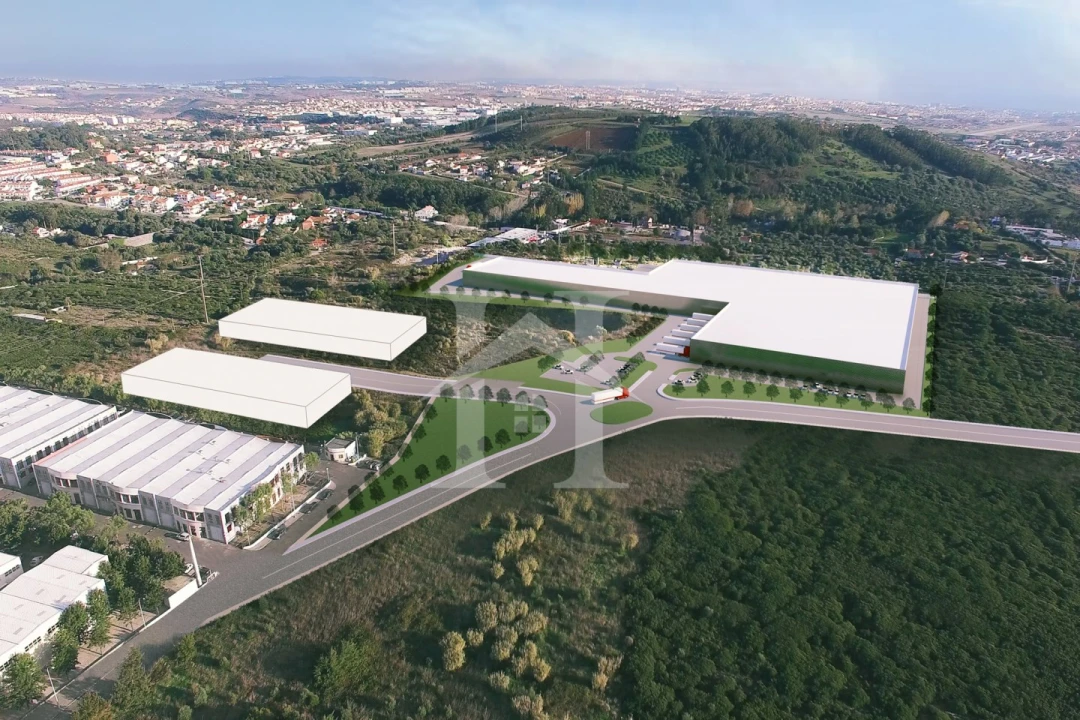 Terreno para Venda em Santa Maria e São Miguel, São Martinho, São Pedro Penaferrim Foto 4