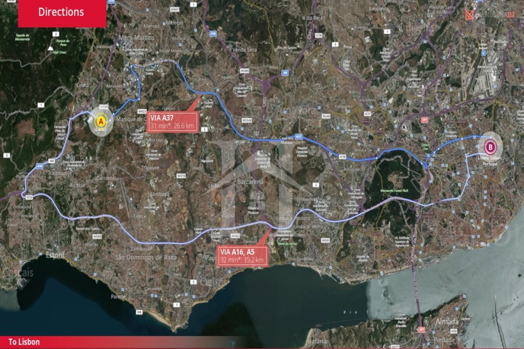 Terreno para Venda em Santa Maria e São Miguel, São Martinho, São Pedro Penaferrim Foto 10