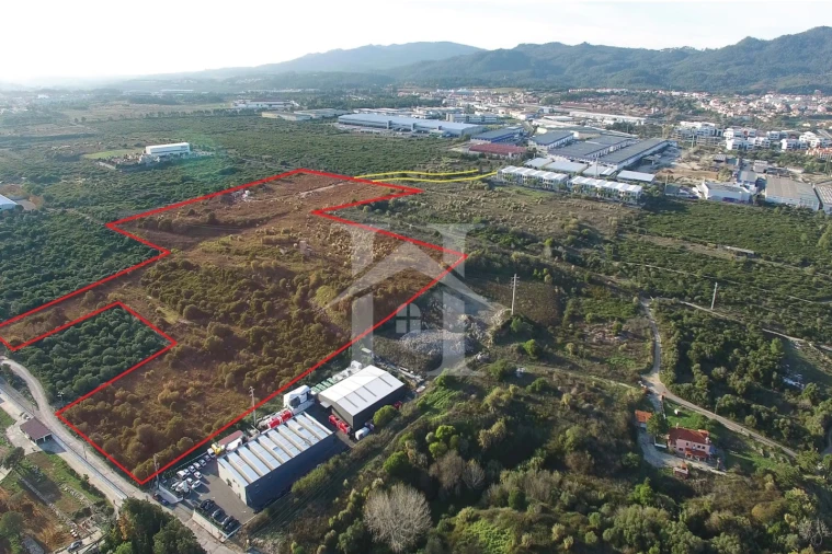 Terreno para Venda em Santa Maria e São Miguel, São Martinho, São Pedro Penaferrim Foto 2