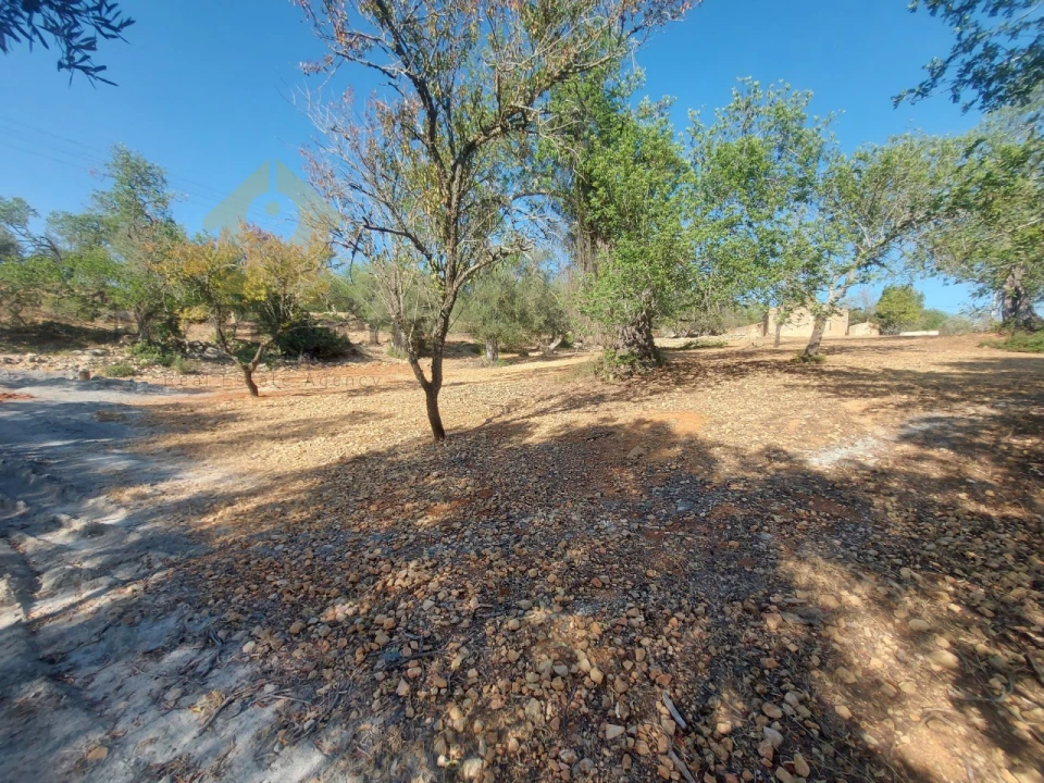 Quinta T2 para Venda em Ferreiras Foto 22