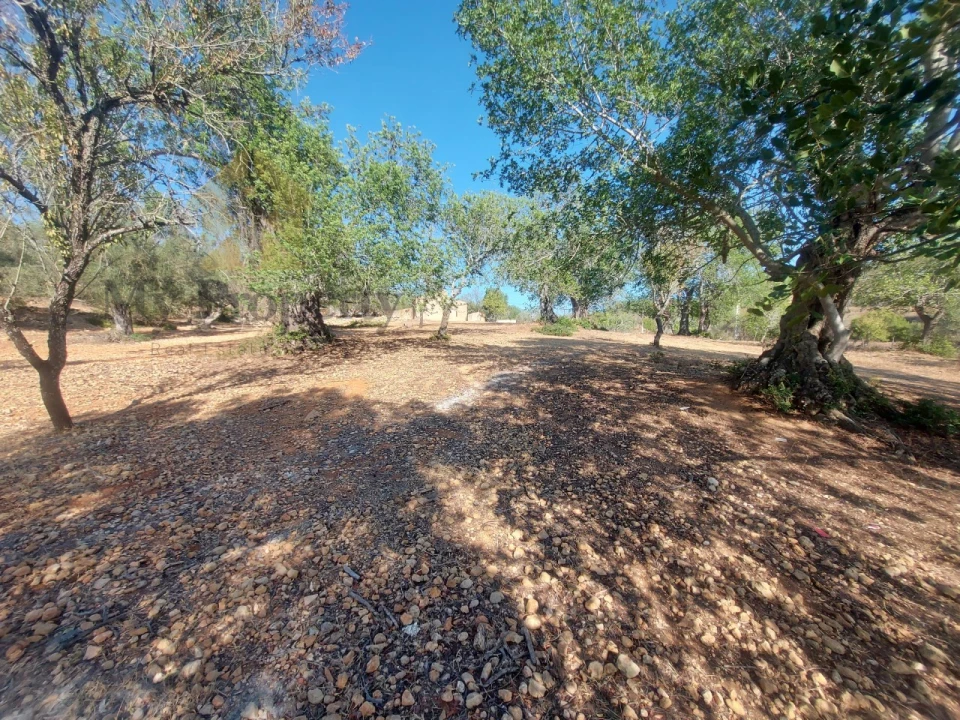 Quinta T2 para Venda em Ferreiras Foto 25