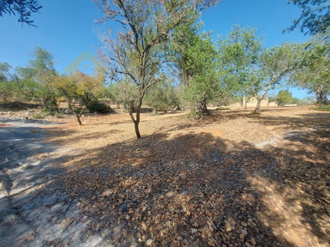 Quinta T2 para Venda em Ferreiras Foto 22