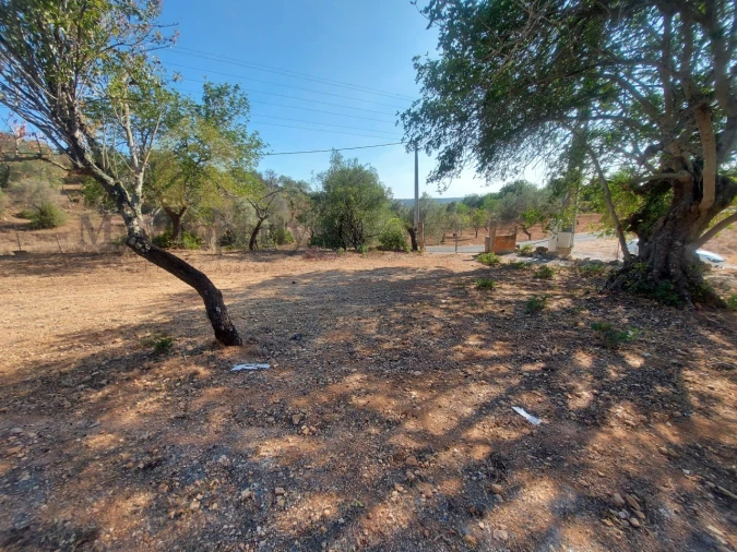 Quinta T2 para Venda em Ferreiras Foto 23